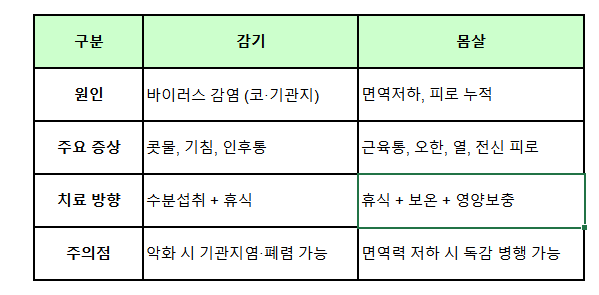 감기몸살빨리낫는법