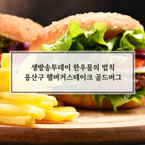 햄버그스테이크 골드버그