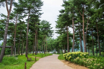 자라섬-재즈-페스티벌