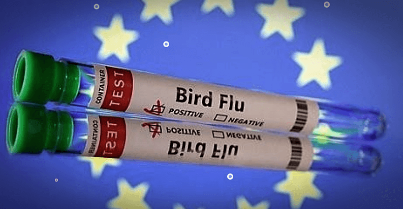 조류인플루엔자