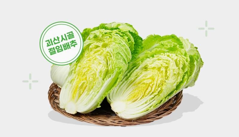 채에-받쳐진-배추