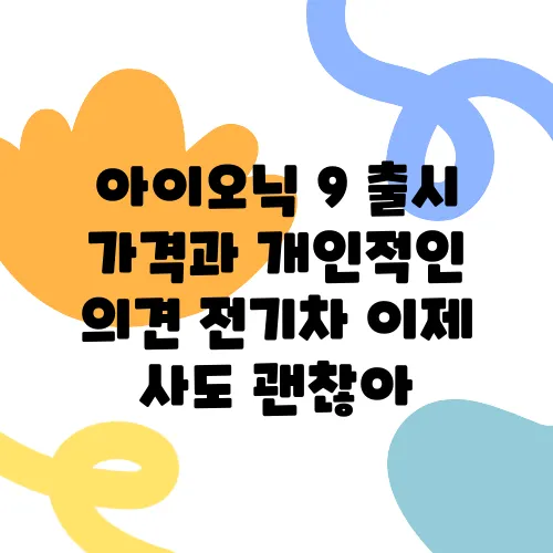 아이오닉 9 출시 가격과 개인적인 의견 전기차 이제 사도 괜찮아