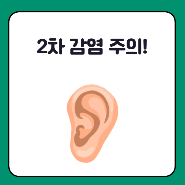 귓볼 몽우리 터짐 합병증