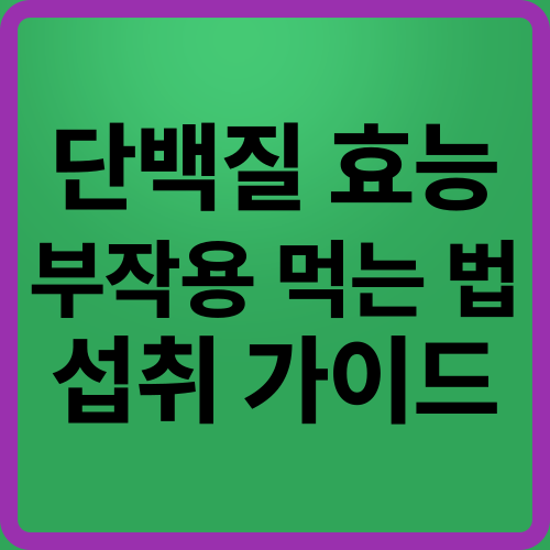 단백질 효능부터 부작용, 먹는 법까지! 건강한 섭취 가이드