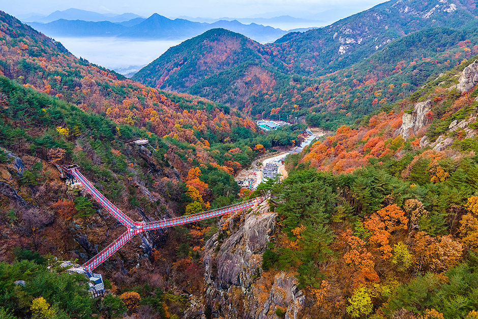 가을 단풍 여행 지도(4) - 경상도 - 청년숲정원&amp;#44; 팔공산&amp;#44; 주왕산&amp;#44; 황매산&amp;#44; 거창출렁다리&amp;#44; 강월재 추천지 6곳!!10