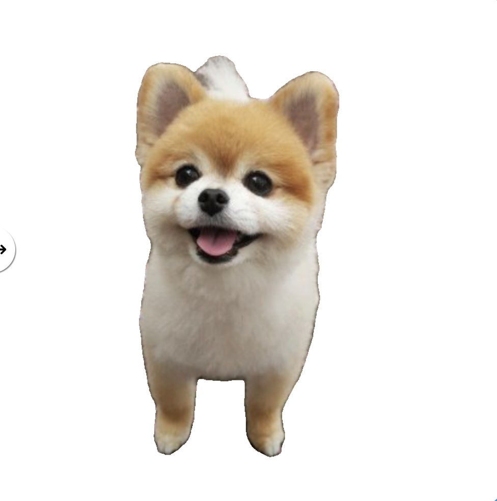 Pencilizing(펜슬라이징): AI로 사진을 연필 스케치로 바꾸는 방법과 활용법 총정리