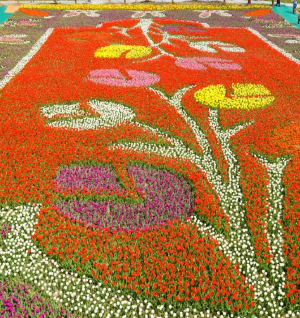 태안튤립박람회