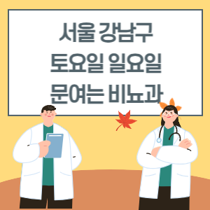 서울 강남구 토요일 일요일 비뇨기과 진료 병원 리스트