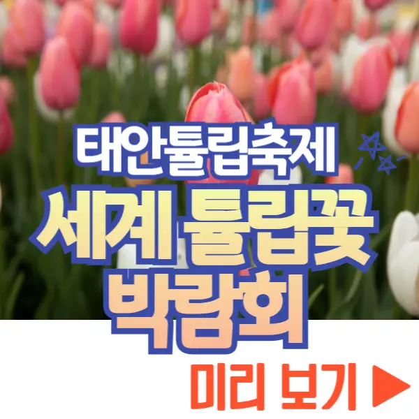 태안 튤립축제 보기