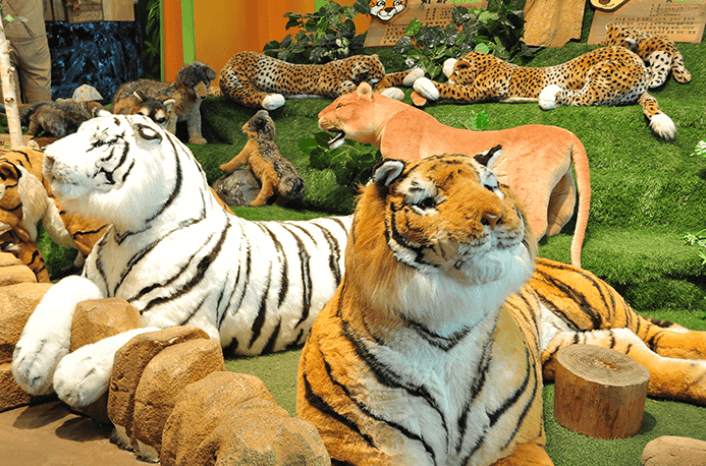 비올때 아이와 함께 제주도 실내 가볼만한곳 top3(동쪽,서쪽)