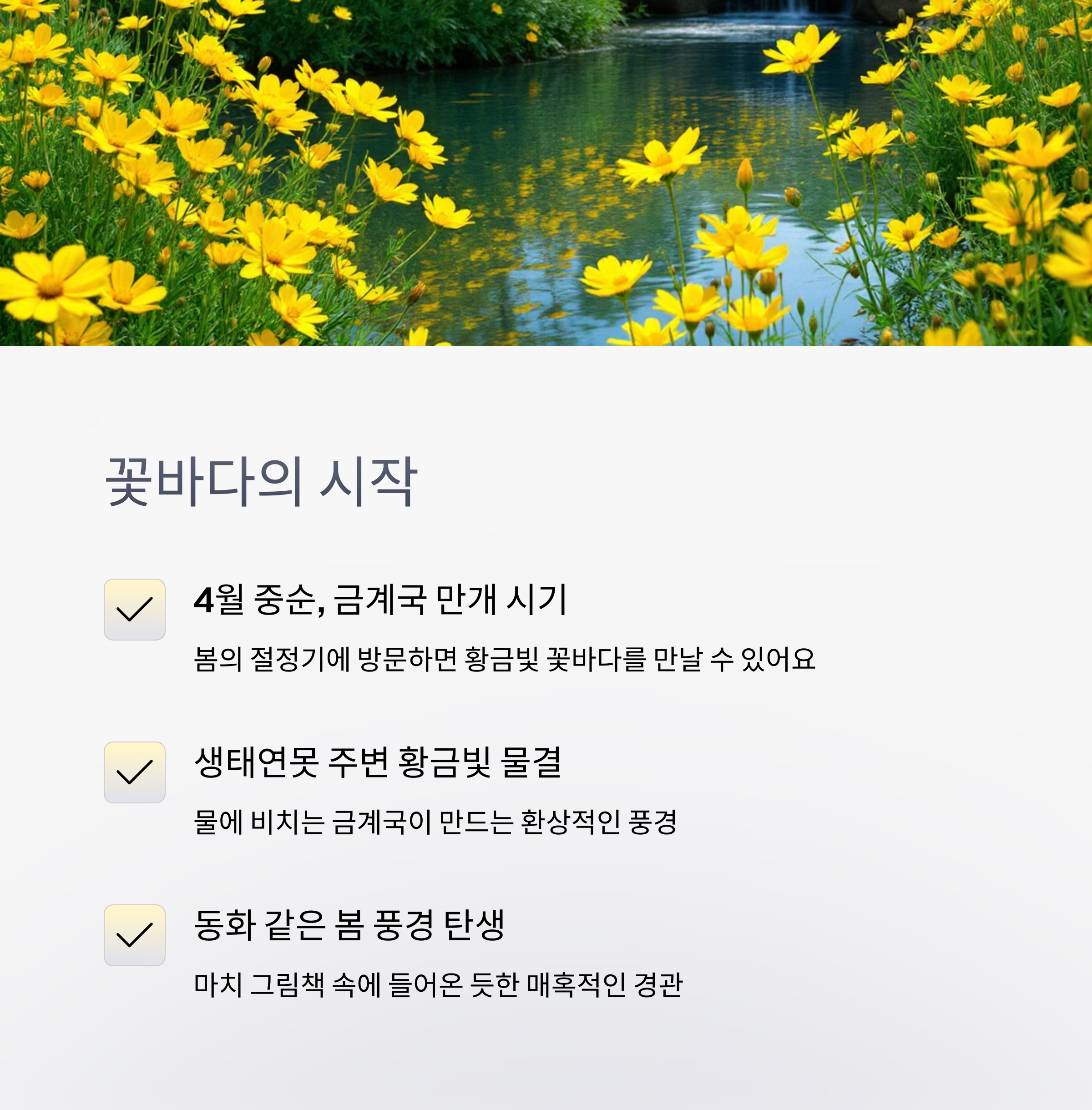 함안 금계국축제 함안 금계국 만기