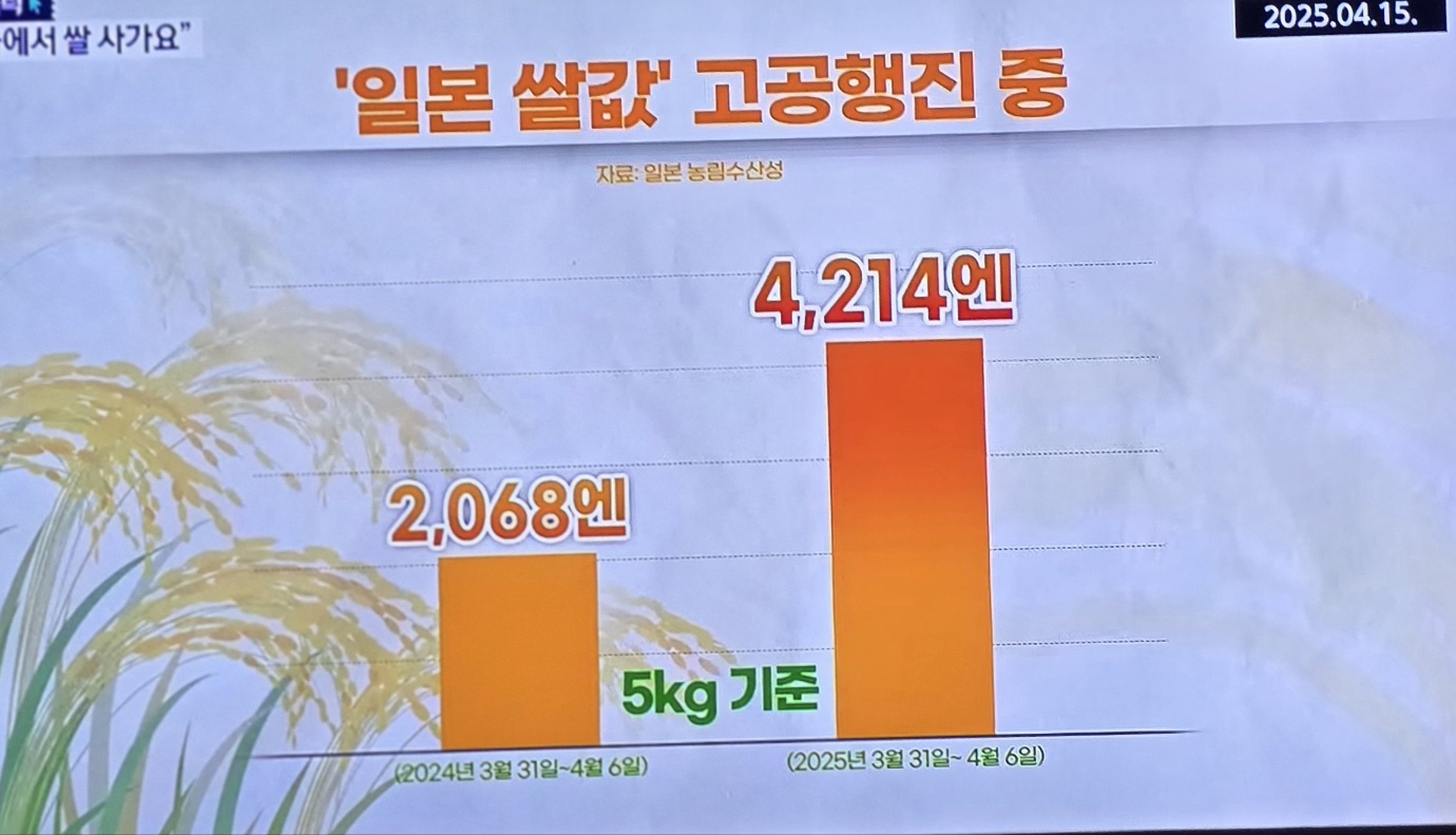 일본 쌀값의 폭등 이미지 사진