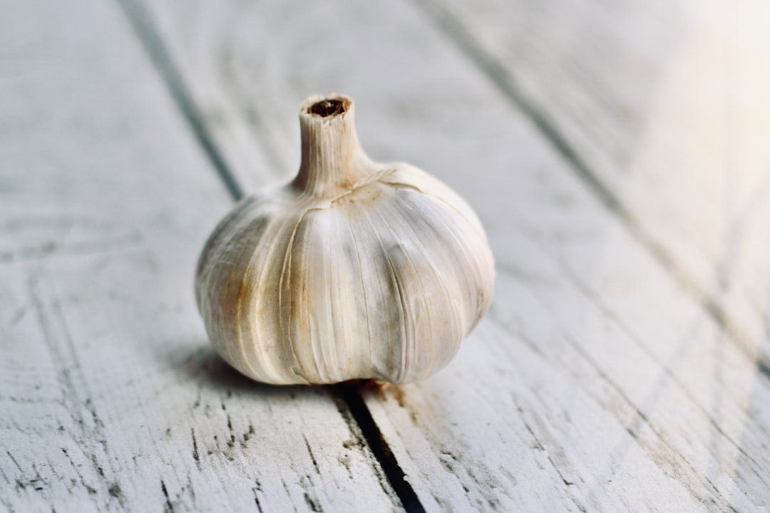 Garlic
