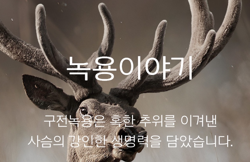 구전녹용