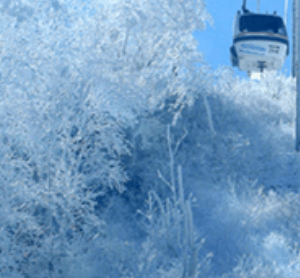 무주 덕유산 케이블카 요금