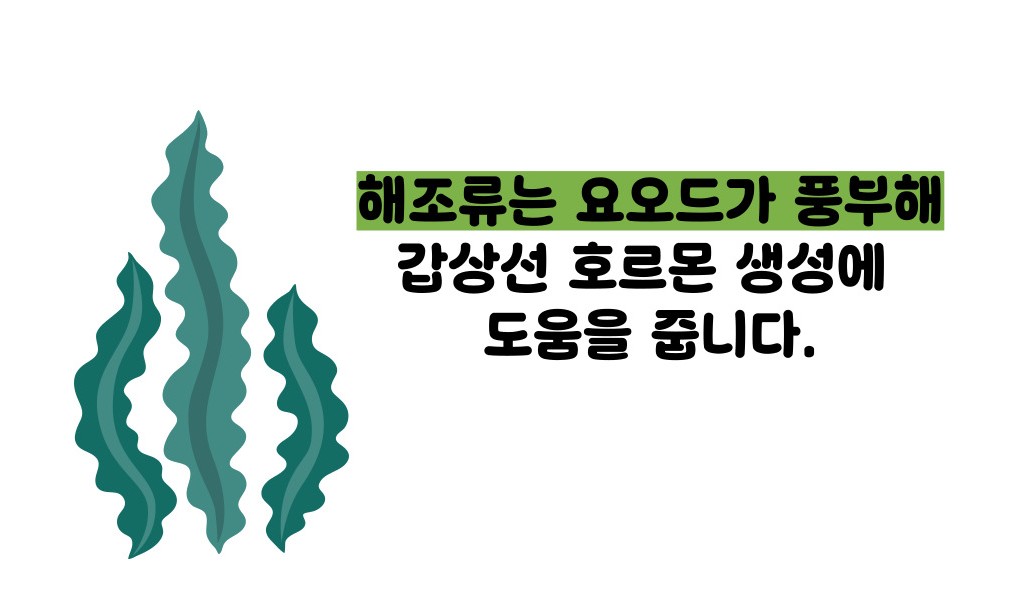갑상선 기능 저하증 좋은 음식