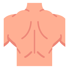 왼쪽 등쪽 통증