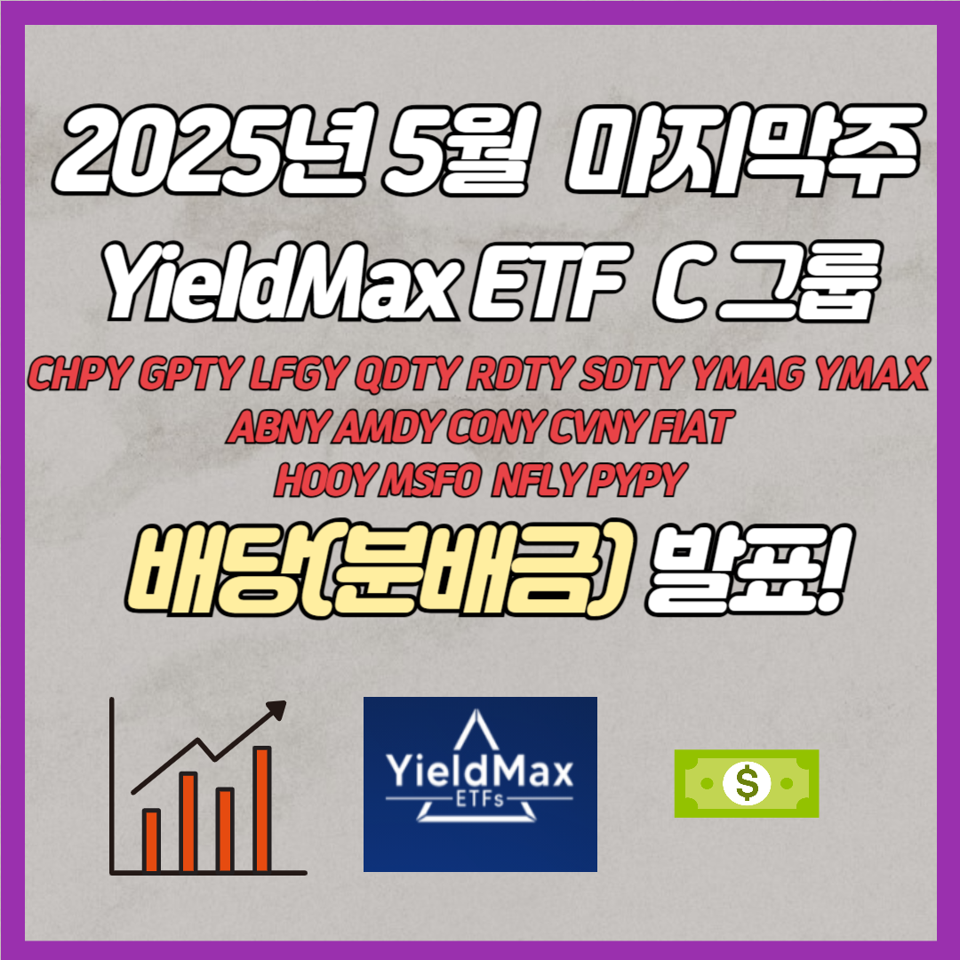 2025년 5월 마지막주 일드맥스 C그룹