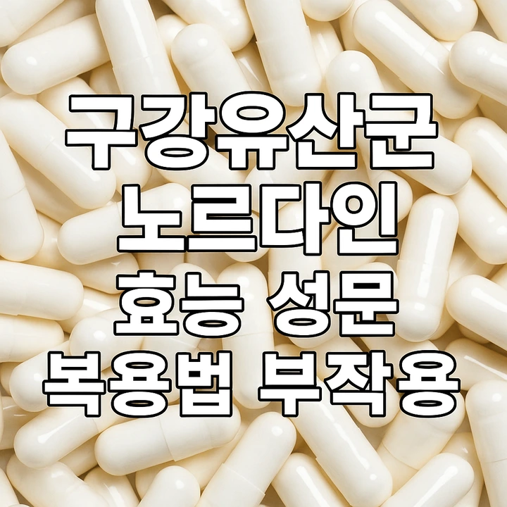 구강유산균_노르다인