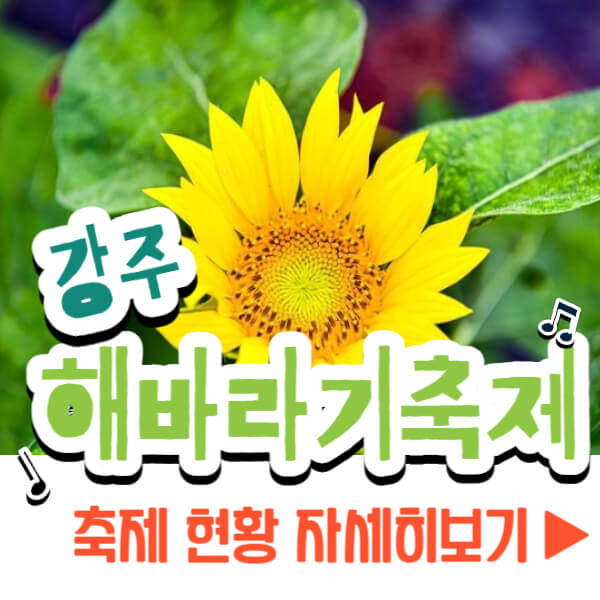 강주 해바라기 축제 자세히 보기