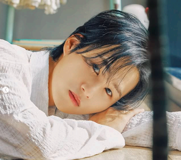 임실N 치즈 축제