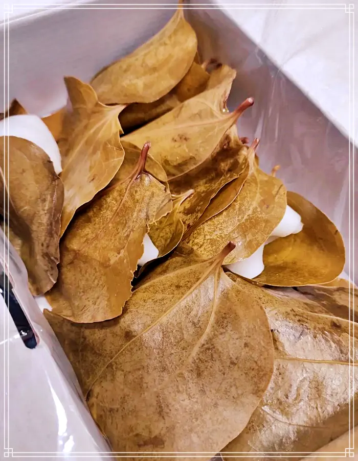 6시 내고향 경북 의령 전통시장 택배 판매 주문 망개떡 맛집