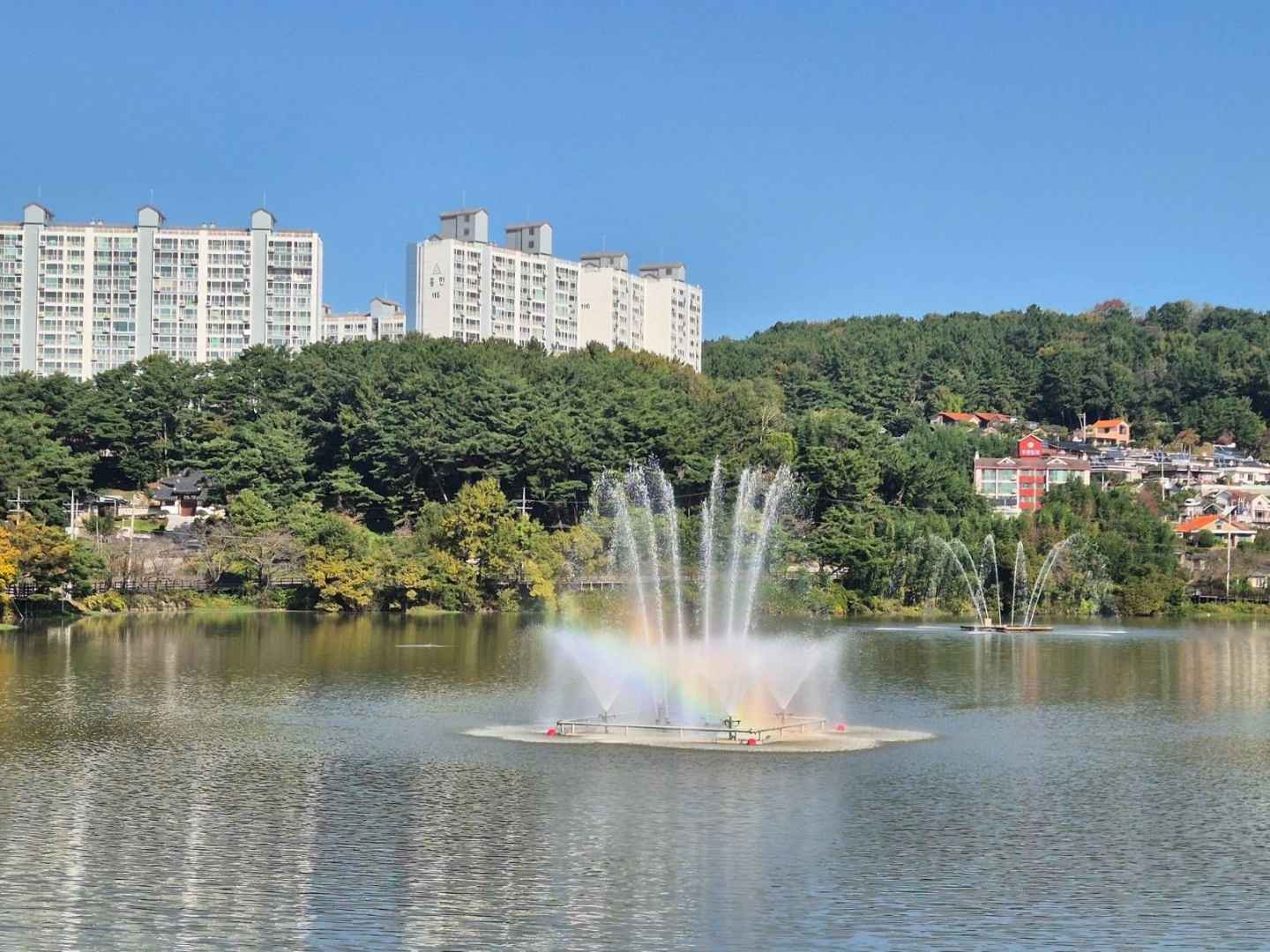 금호지