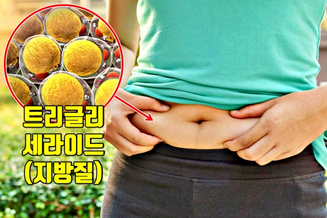 체지방 다이어트 살빠지는 운동 원리 유산소 운동 호흡법,건강 팁줌