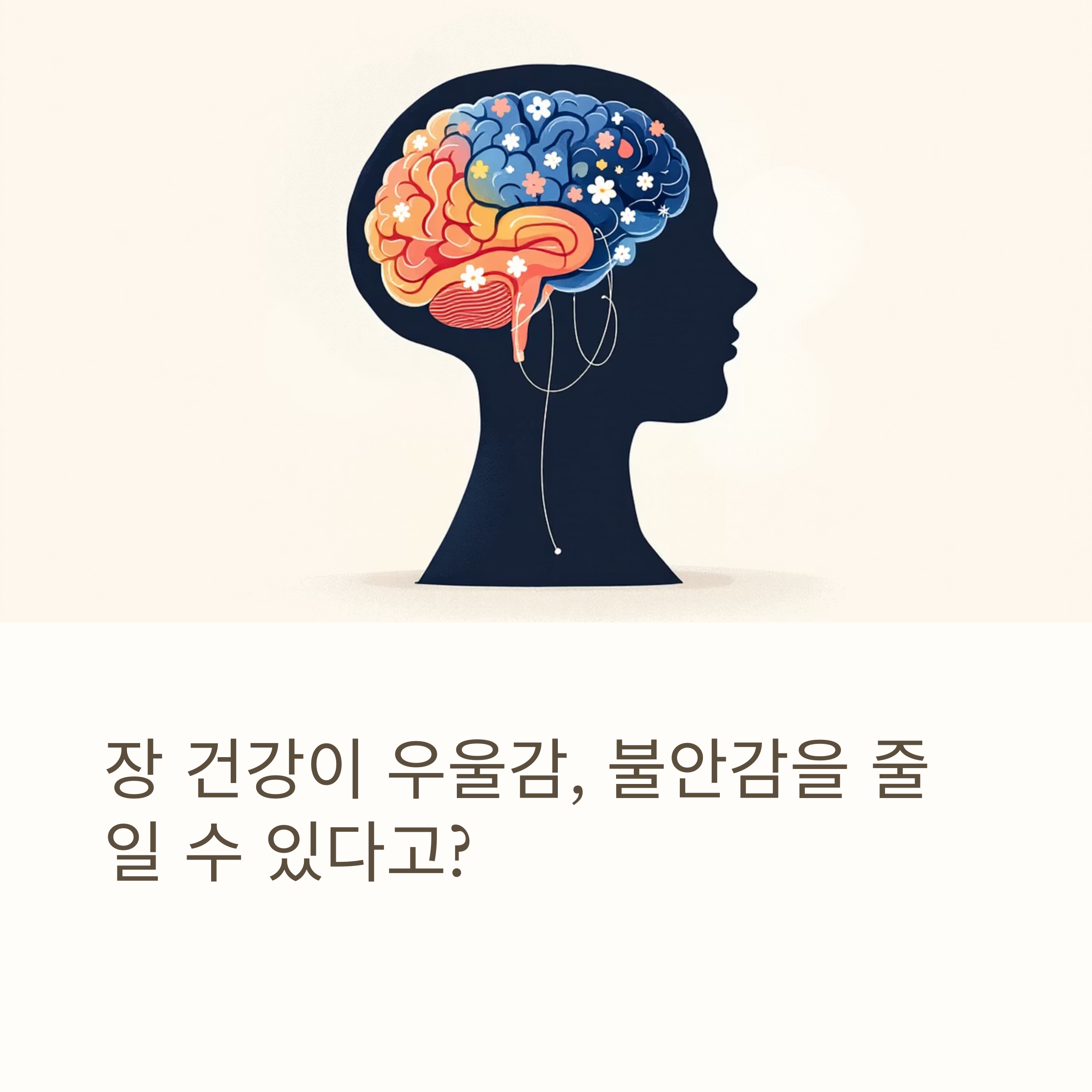 우울증-불안증 완화