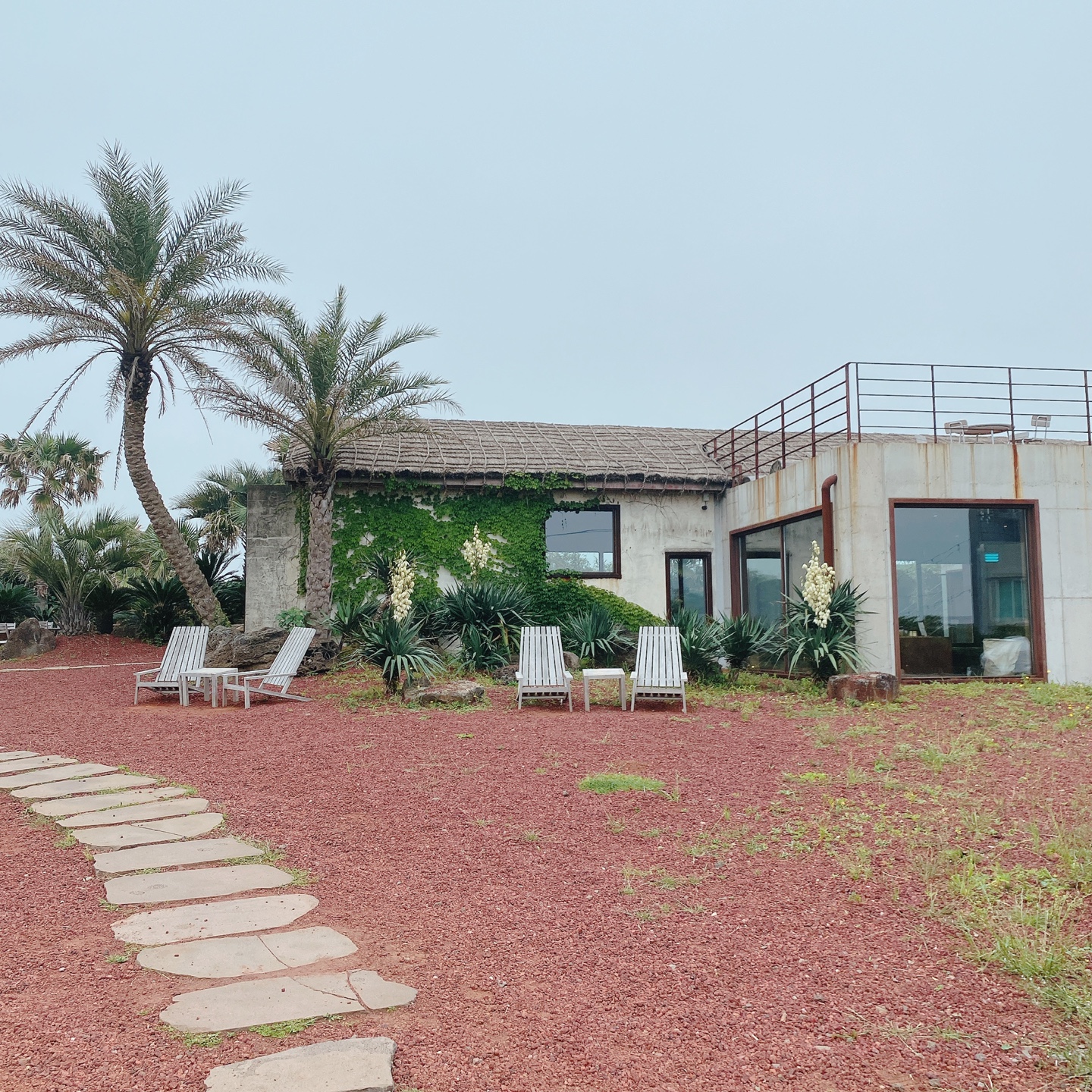 제주 서귀포 대정 서림연대 인스밀 곡물창고 개조카페 in's mill 보리개역 보리 청보리 제주 특산물