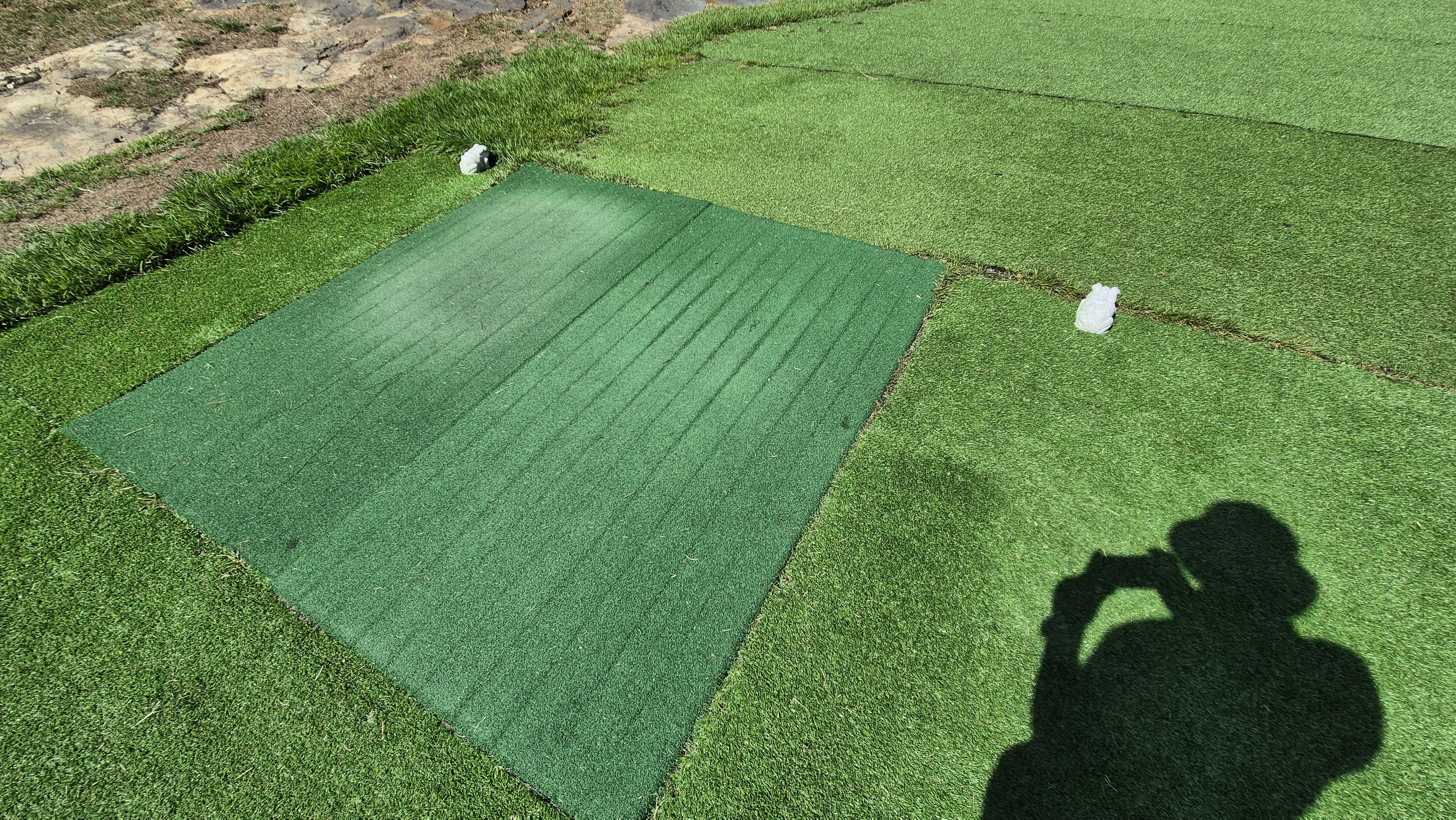 대영힐스cc 청-력 코스 라운드 후기