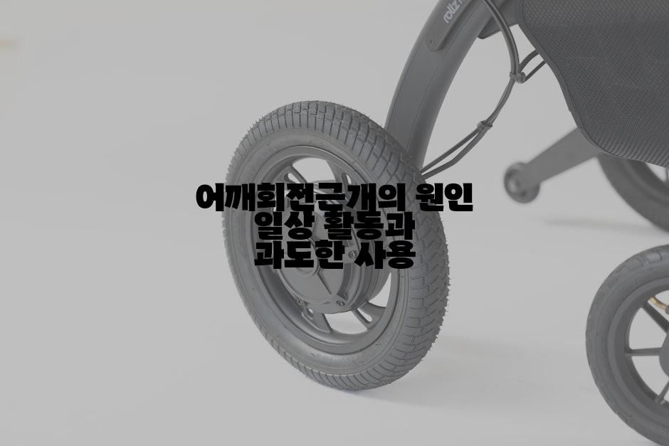 어깨회전근개의 원인 일상 활동과 과도한 사용