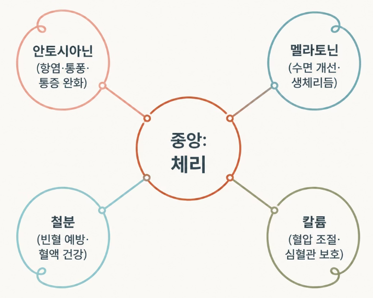 체리 효능