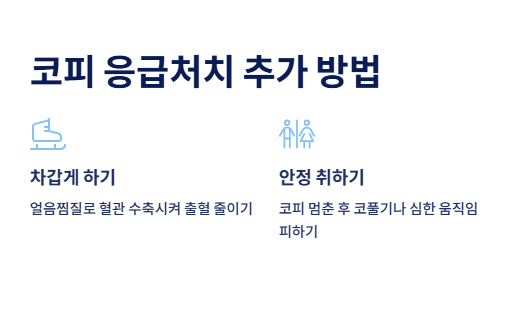 코피 빨리 멈추는 방법