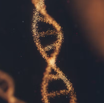 고지혈증 증상 원인 예방법 음식