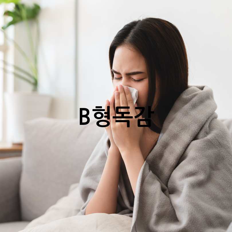 A형독감과 B형독감 차이