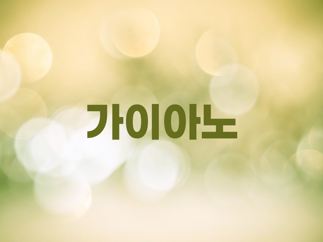 가이아노 천주교 남자세례명