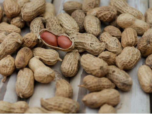 혈당 낮추는 다이어트 음식 | 땅콩버터 추천해요