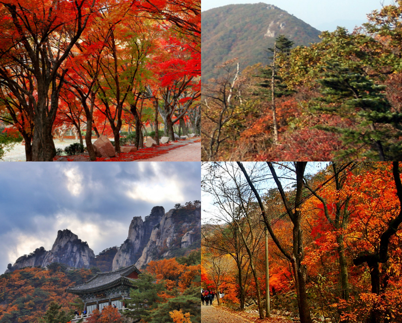 단풍구경 가볼만한 곳