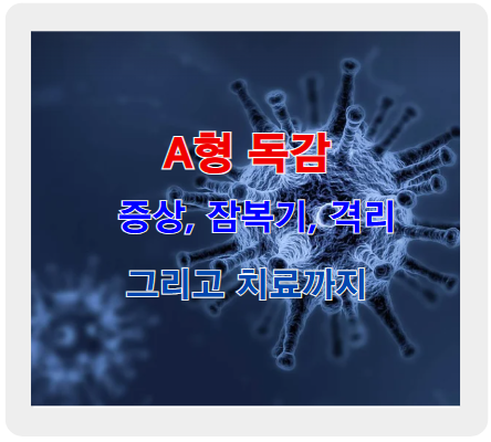 A형 독감 증상, 전염, 잠복기, 격리, 그리고 치료까지 알아야 할 모든 것