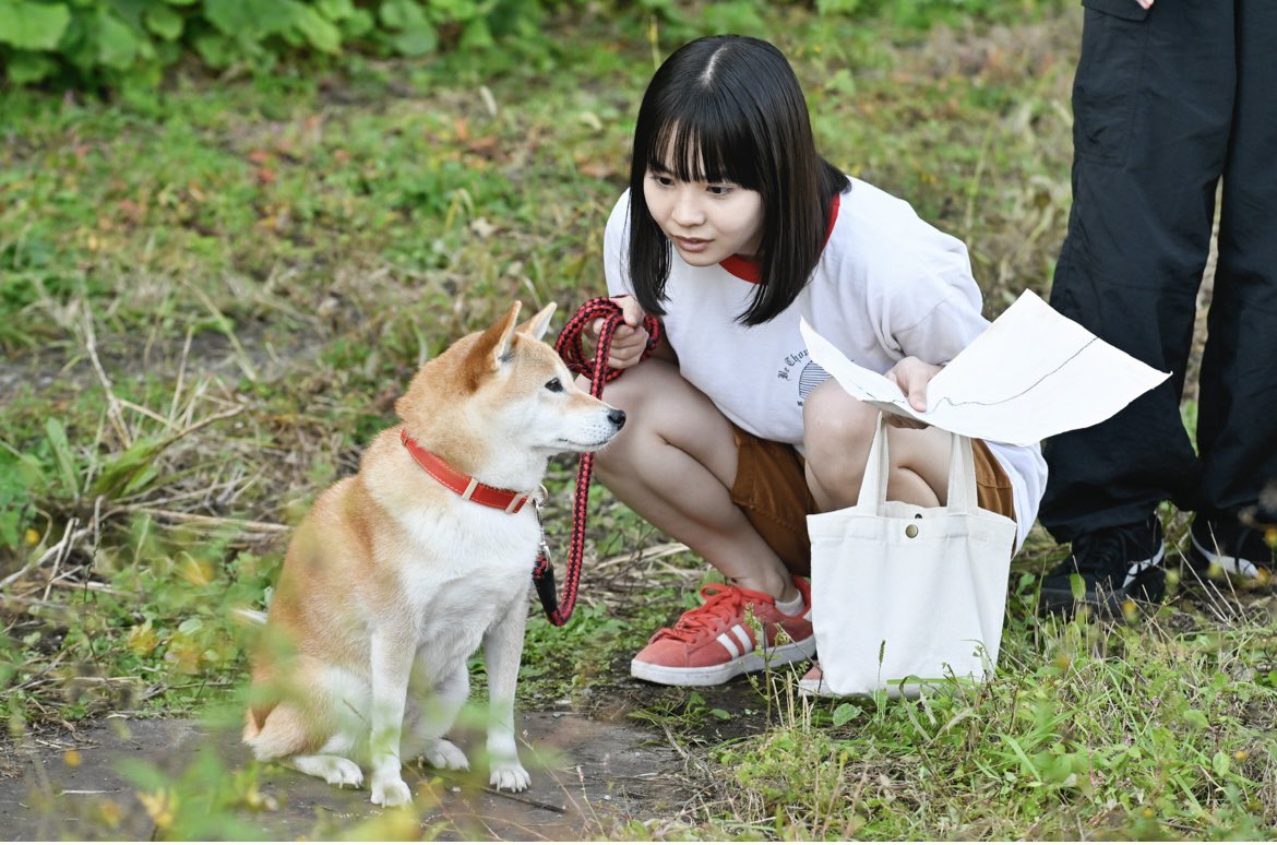 오늘의산폰타