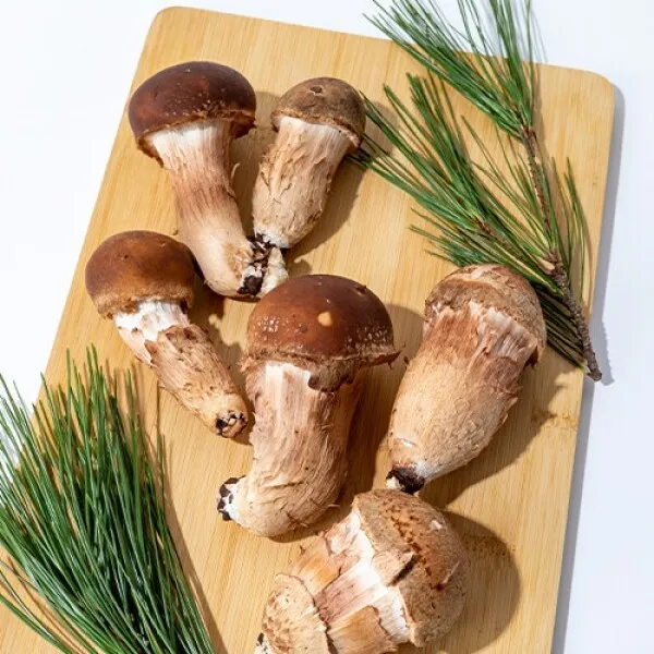 송이버섯 먹는법 요리법을 정리_6