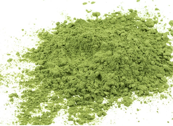 곱슬케일 분말 복용법