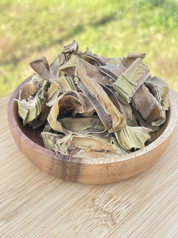 작두콩차 효능 5가지 비염에 좋은 음식 작두콩 끓이는 먹는 방법 부작용