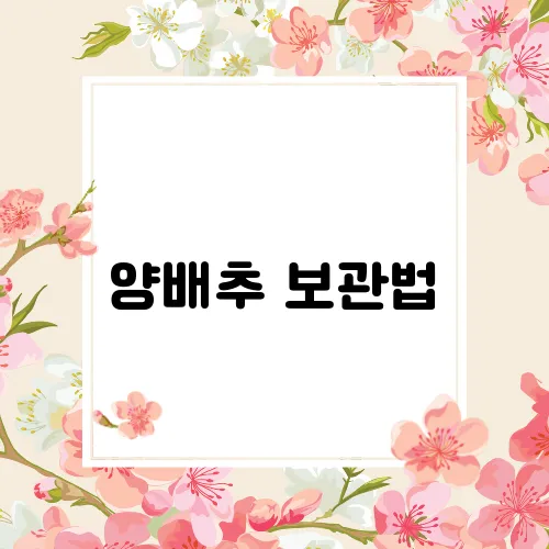 양배추 보관법