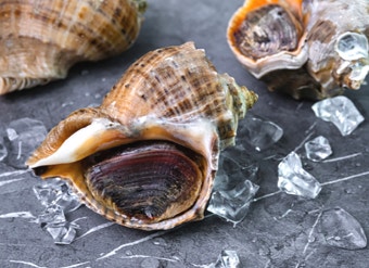 소라 효능 부작용