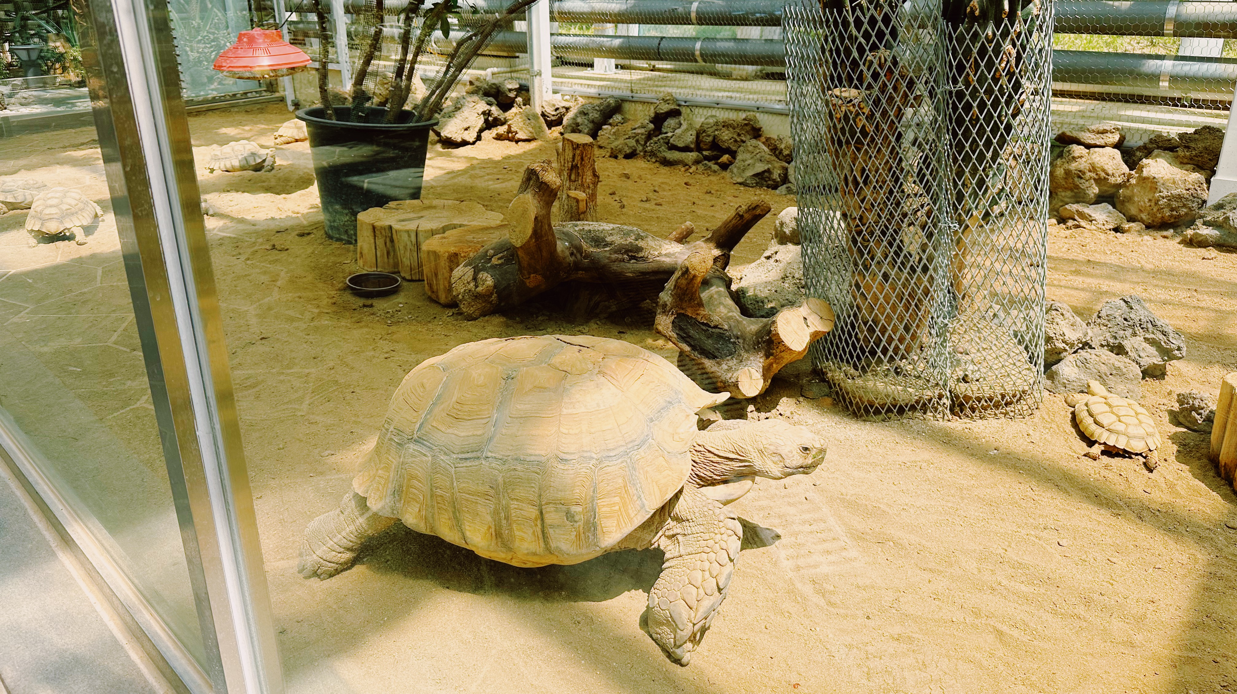 오월드 버드랜드