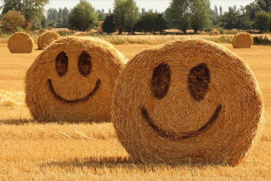 스마일 표시가 있는 볏단
