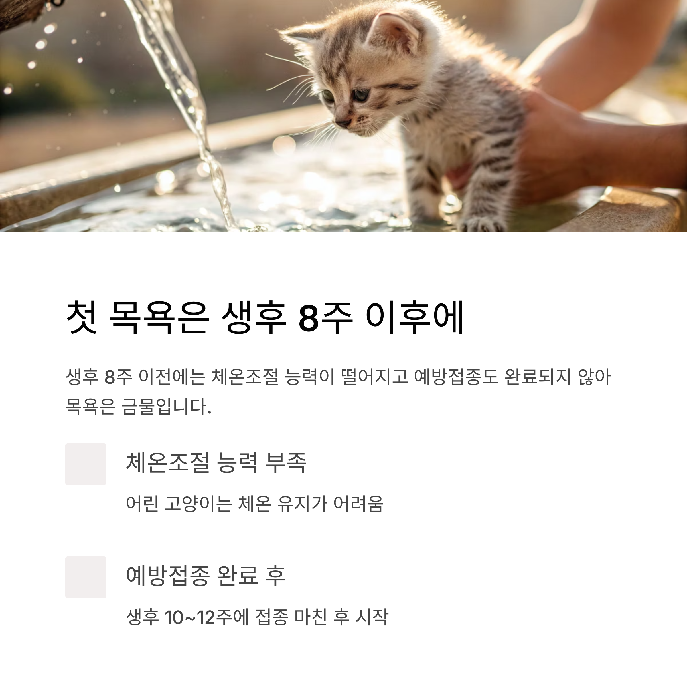 첫 목욕은 생후 8주 이후에