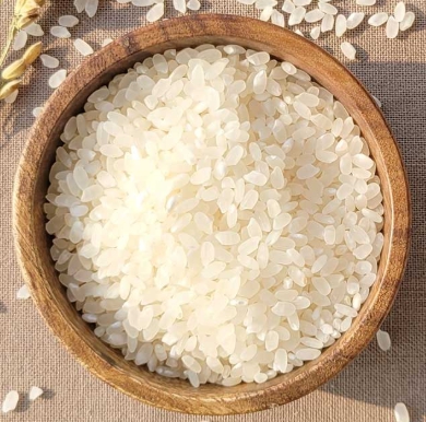쌀 종류 백미쌀